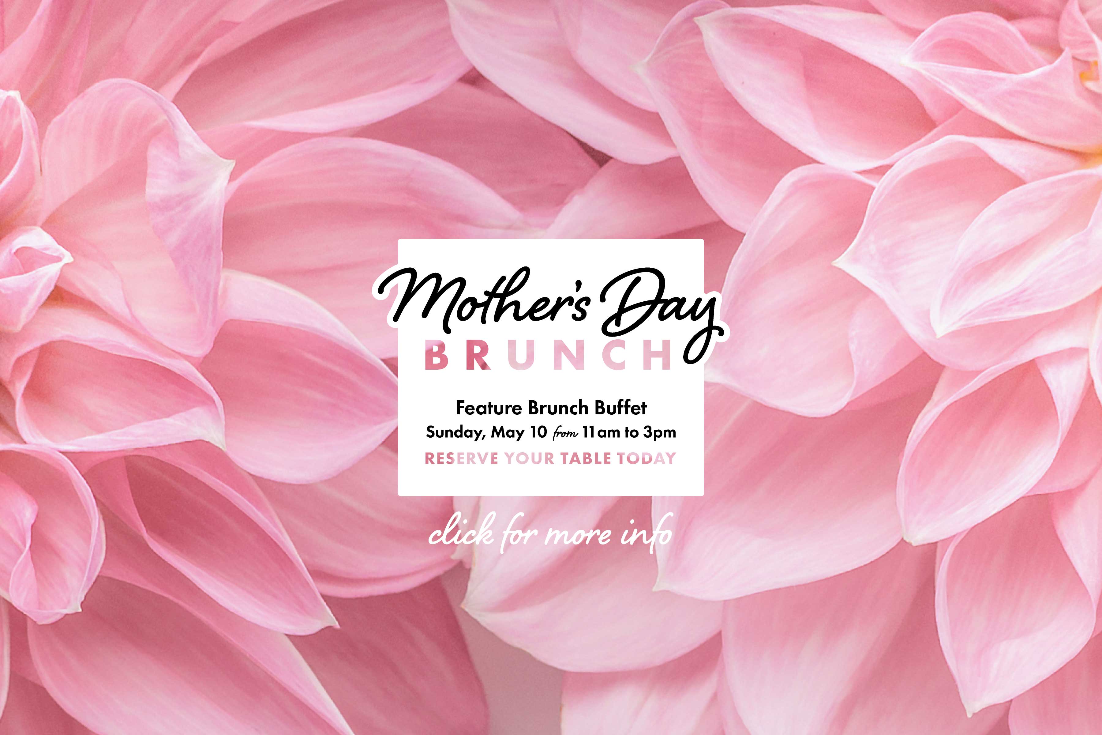 Mezzo Mother's Day Brunch available Sunday, May 10 from 11am to 3pm.